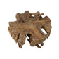 Spider Coffee Table - 80x80x40cm - Teak Root - Velaria Interiors