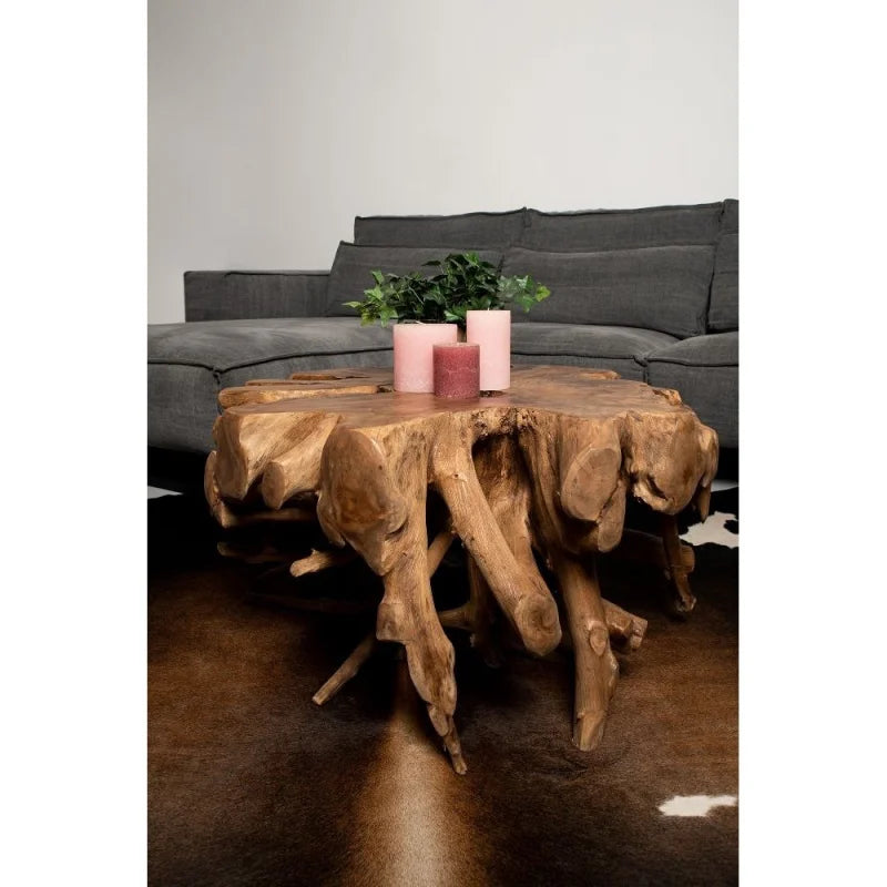 Spider Coffee Table - 80x80x40cm - Teak Root - Velaria Interiors