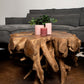 Spider Coffee Table - 80x80x40cm - Teak Root - Velaria Interiors