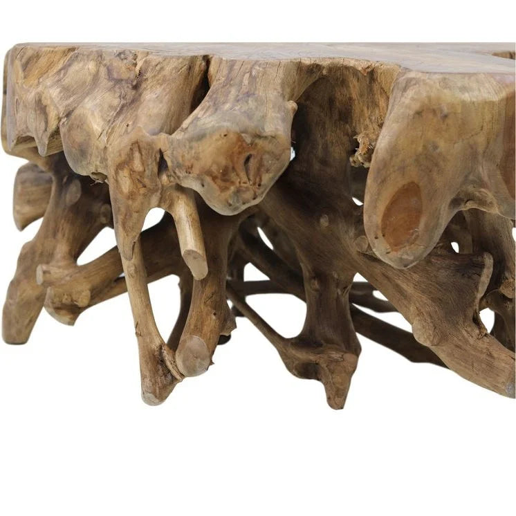 Spider Coffee Table - 80x80x40cm - Teak Root - Velaria Interiors